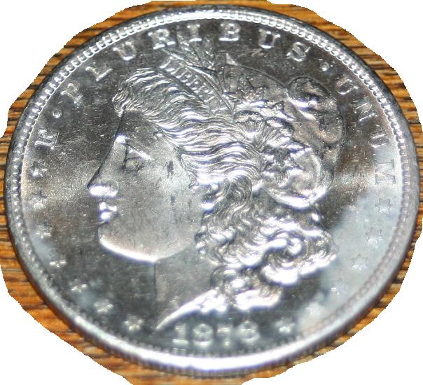 Morgan-Silver-Dollar-1893-And-1895-O,-P,-D-Pics