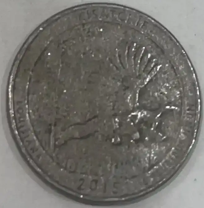 2015-Quarter-?-Error?
