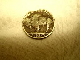 1920-D-Buffalo-Nickel,-Clipped-Planchet?--First-Post!