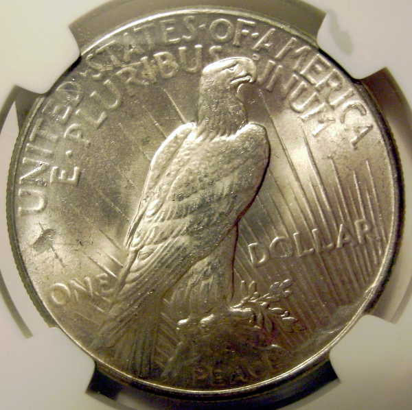 1925-P-Peace-Dollar.-You-Vs-NGC