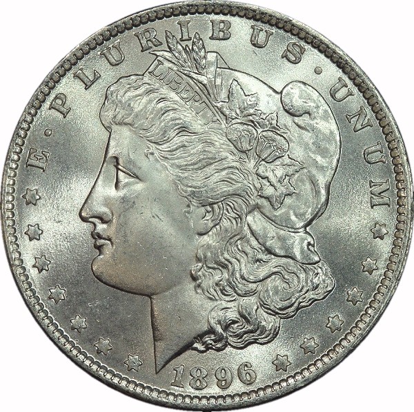 Guess-The-Grade:-1896-Morgan-Coin-#2