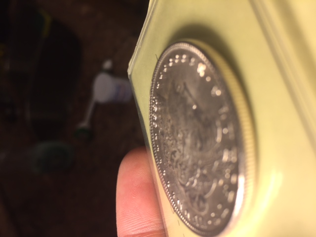 1882-P-Morgan-Wire-Rim?-Need-Help