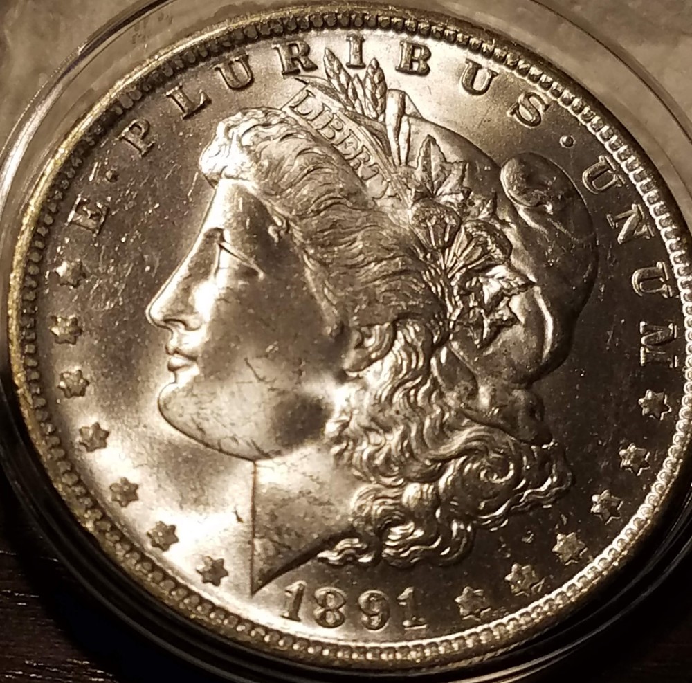 Should-I-Send-It-In-To-TPG?-Whats-The-Grade?-1891-O-Morgan