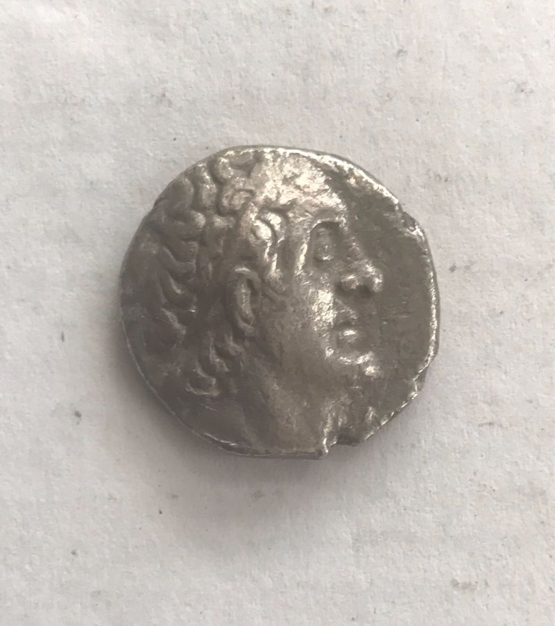 Help-With-Identification---Ptolemy-I-Soter?
