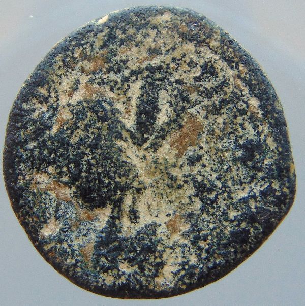 Help-With-Identification---Diadumenian?