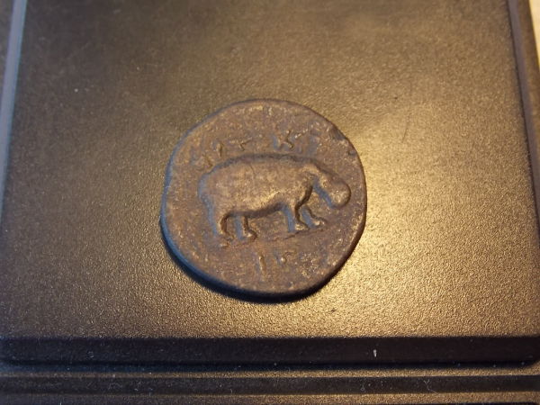 Unidentified-Coin-Claudius-Egypt?-Hippo-Coin-Value?