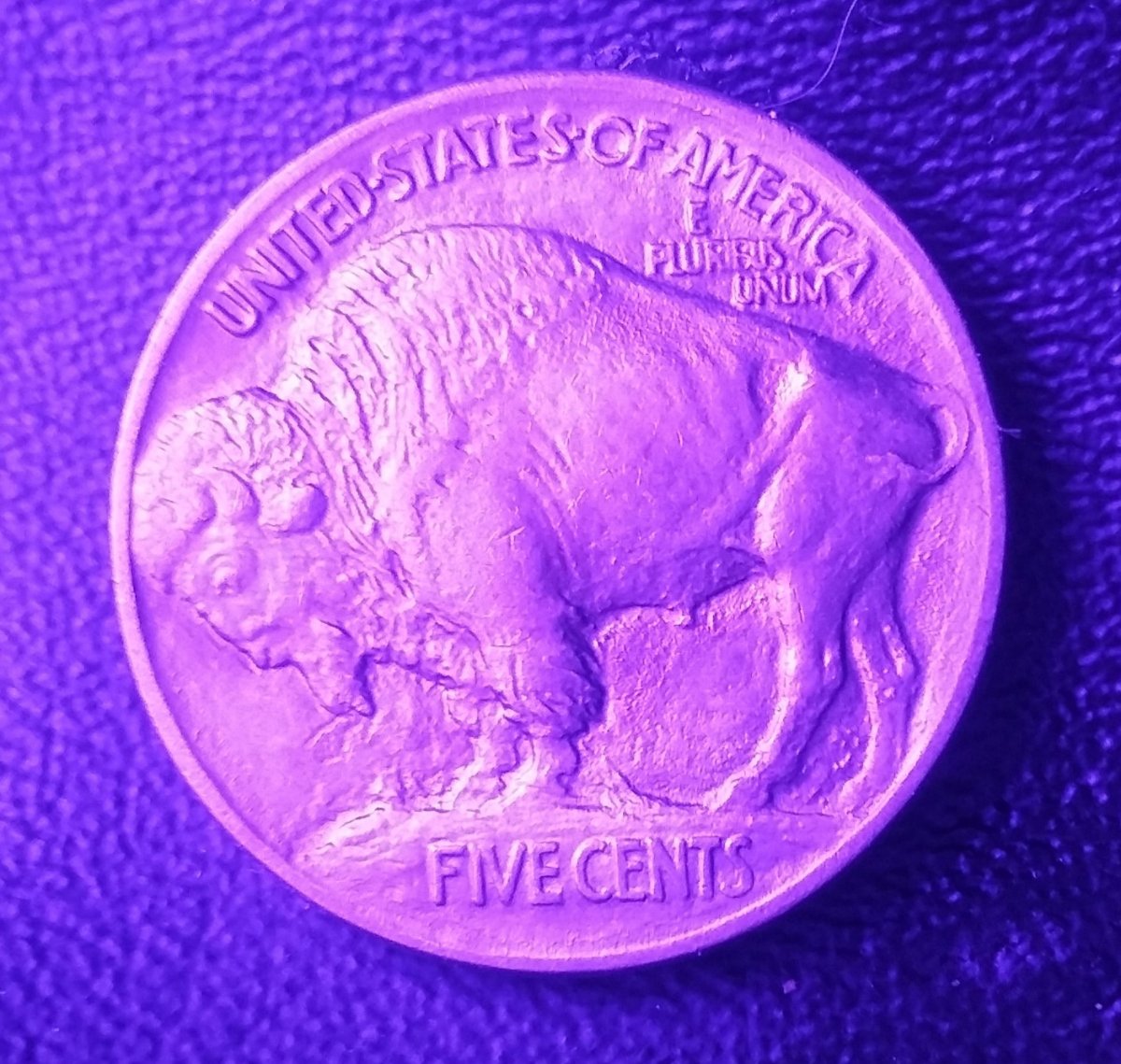 For-Grading-A-1913-Type-1-Buffalo,-Odd-Toning-From-Old-Coin-Flip