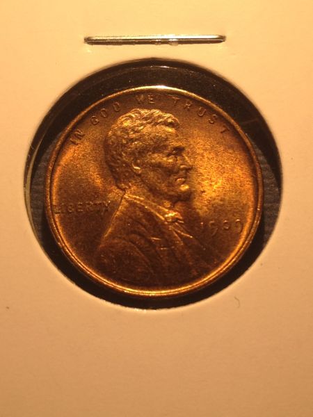 1924-D--You-Vs.-ANACS-----&---Raw-1909-VDB