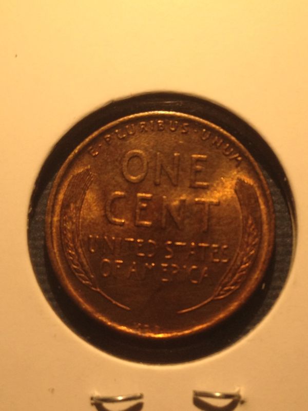 1924-D--You-Vs.-ANACS-----&---Raw-1909-VDB