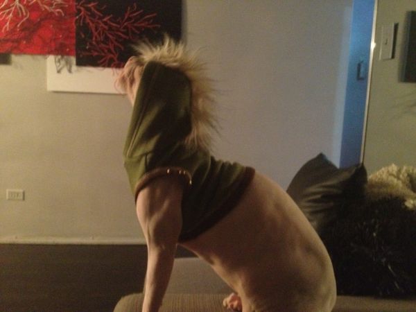 New-Contest--Guess-It-*photo-ID-*---And-Guess-The-Grade--