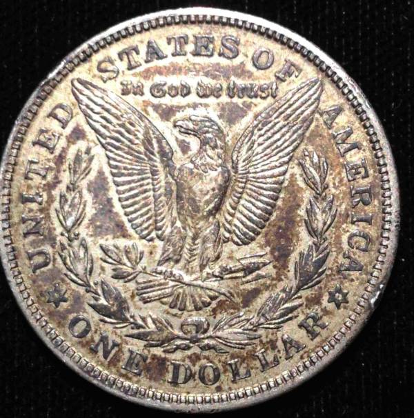 1896-O--And-1921--Morgans,-Help-A-Brother-Out!