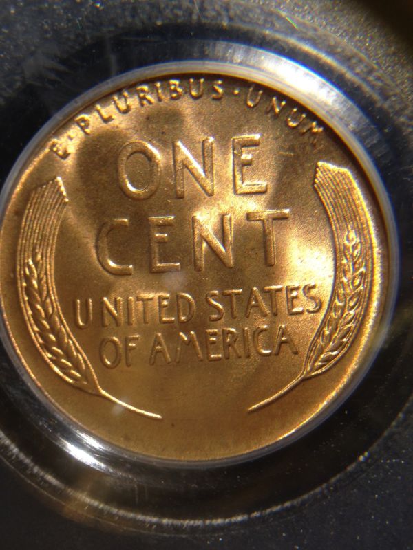 1937-D--You-Vs.-PCGS