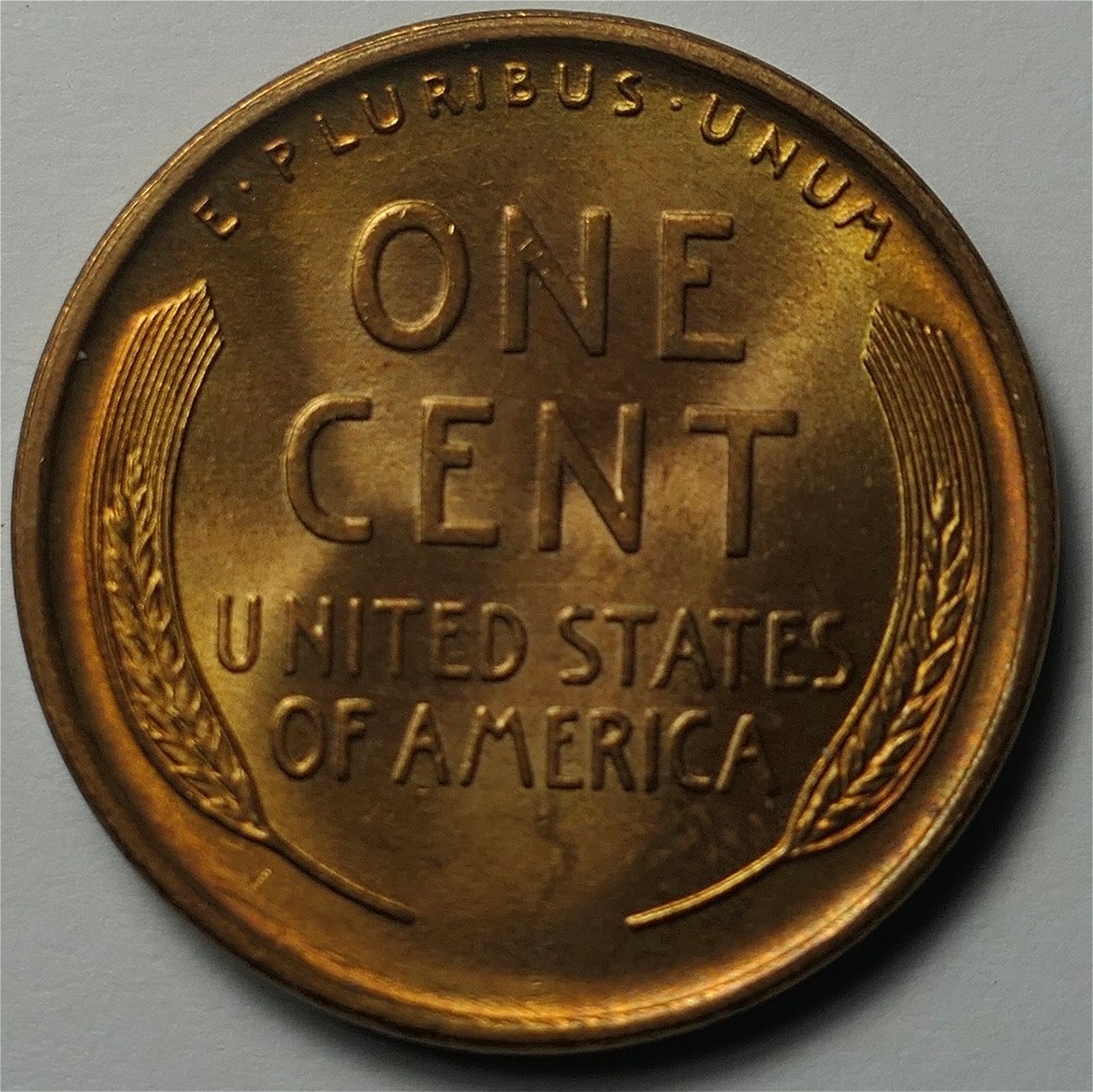 1909-LWC-&-1909-VDB-LWC-For-Grading!