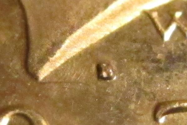 JFK-Half-Dollar-Roll-Hunters:-Silver,-Proofs-And-Other-Finds