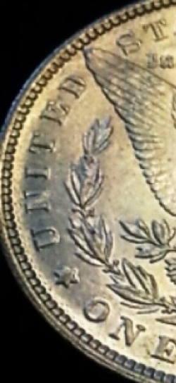 1886-O-Morgan-Ms+-Possible-VAM?