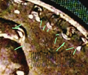 1995-D-DDO-3-Confirm