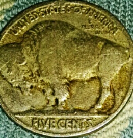 1916-5c-Buffalo-DDO?-!!