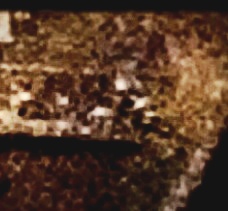 1992-D-Cam-Share-&-Grade?-Confirm