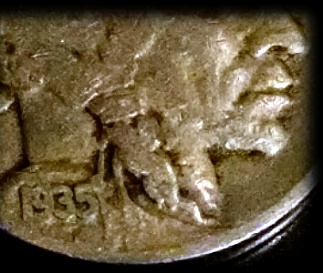 1935-5c-Buffalo-DDR-Confirm/Grade