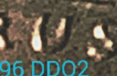 1996-1-DO-001-&-002-Confirm/Grade