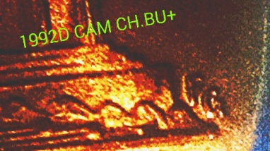 1992-D-Cam-Ms+