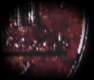 1992-D-Cam-Ms+