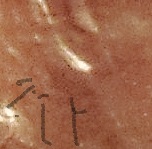 1988-1-DO-010-Confirm