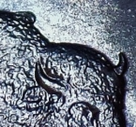 2005-25-CC-Kansas-Humpback