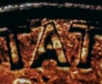 1992-D-Cam-For-You-To-Gaze-&-Comment
