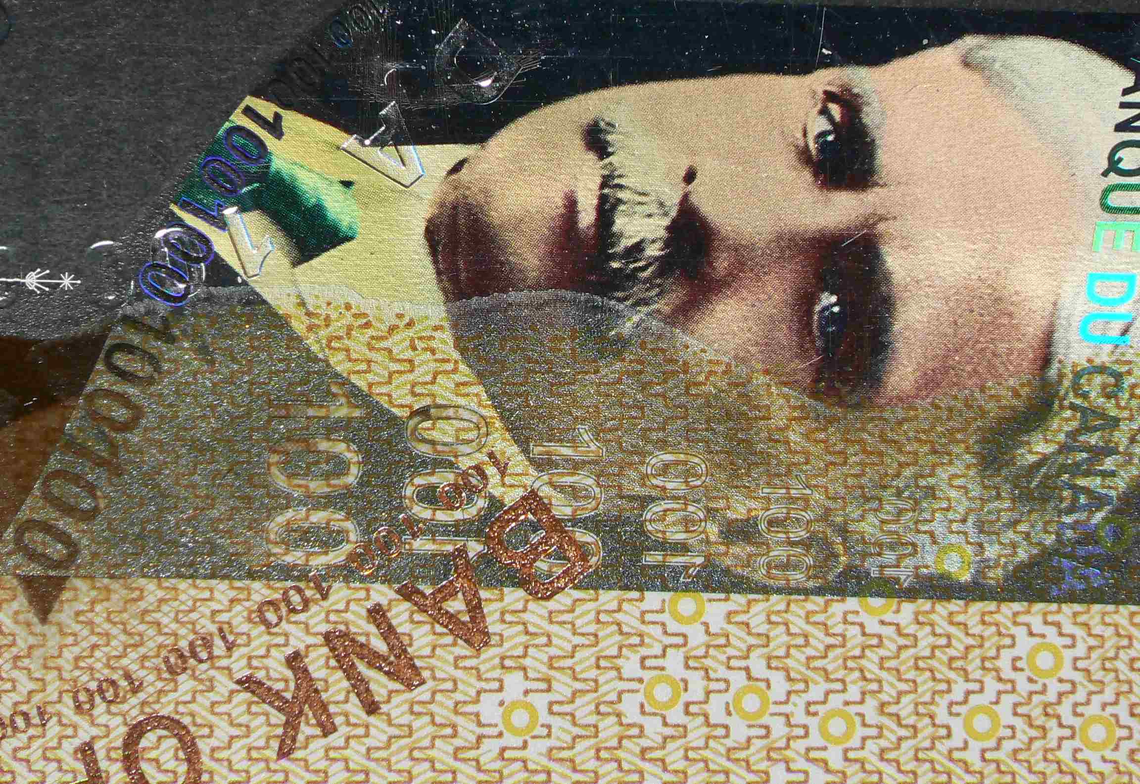 Need-Some-Info-On-Canada-Poly-Notes-Production