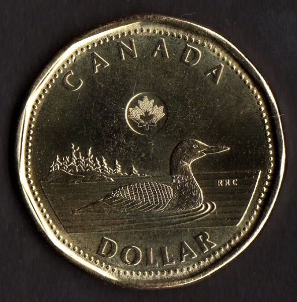 My-First-2013-Circulated-Loonie