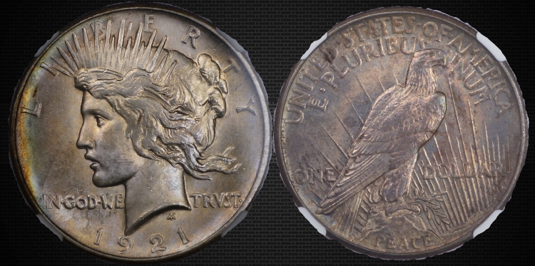 Continuing-List-To-Show-Everyones-Latest-Acquisitions