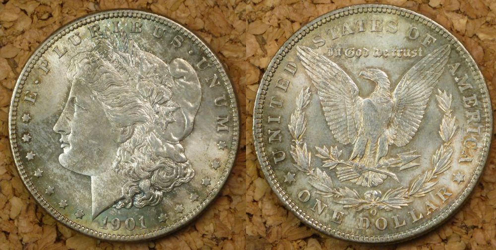 Continuing-List-To-Show-Everyones-Latest-Acquisitions