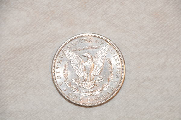 Need-Help-Grading-1899-Morgan-Dollar