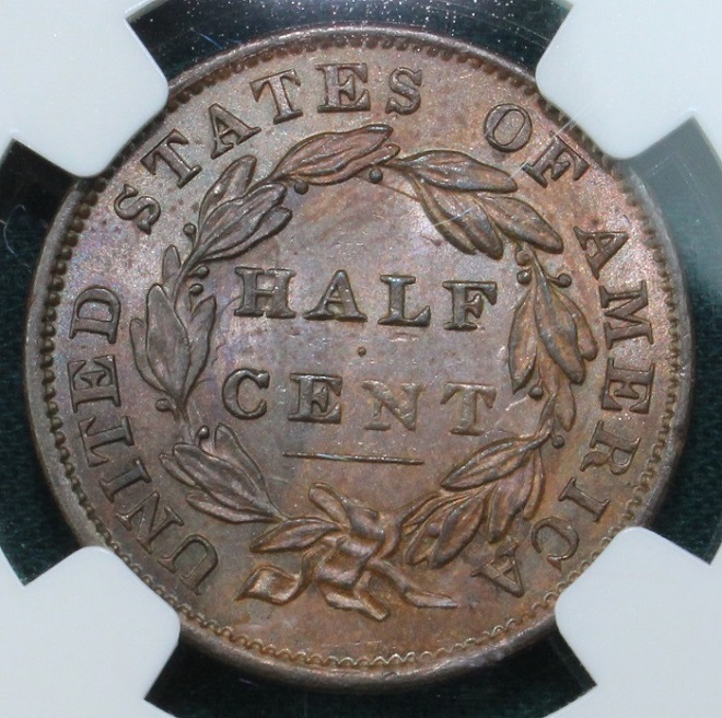 The-26-Days-Of-Half-Cents!