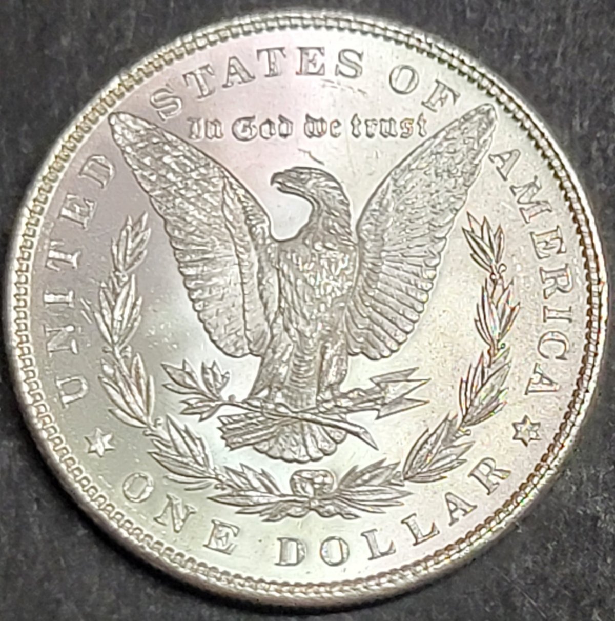 Please-Help-Me-Grade-These-Morgans.