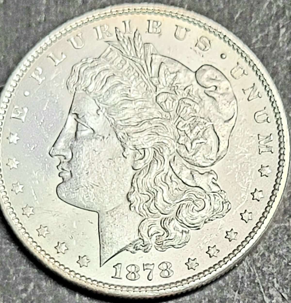 Please-Help-Me-Grade-These-Morgans.