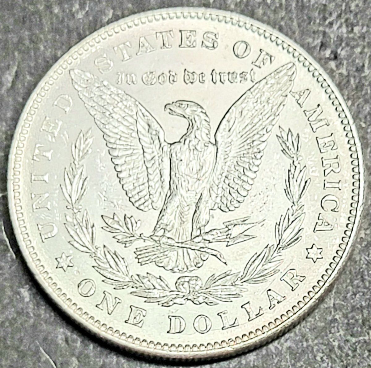 Please-Help-Me-Grade-These-Morgans.