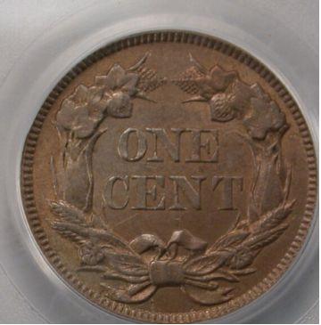 1857-Flying-Eagle-Cent.-Guess-The-Grade.