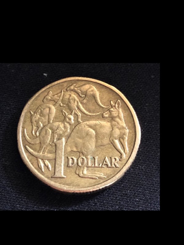 Australian-1984-Possible-Cud-Error