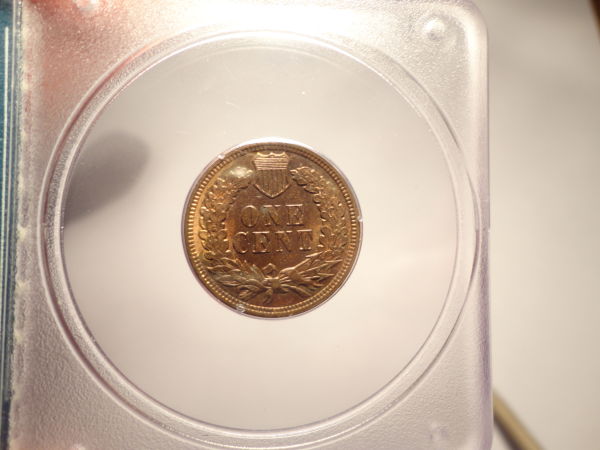 Keep-Or-Return:-1905--IHC-PCGS-MS-63-RB