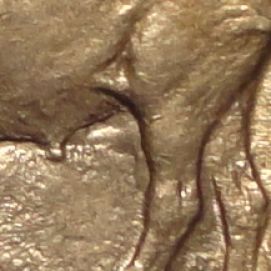 1913-Type-1-Buffalo-Nickel