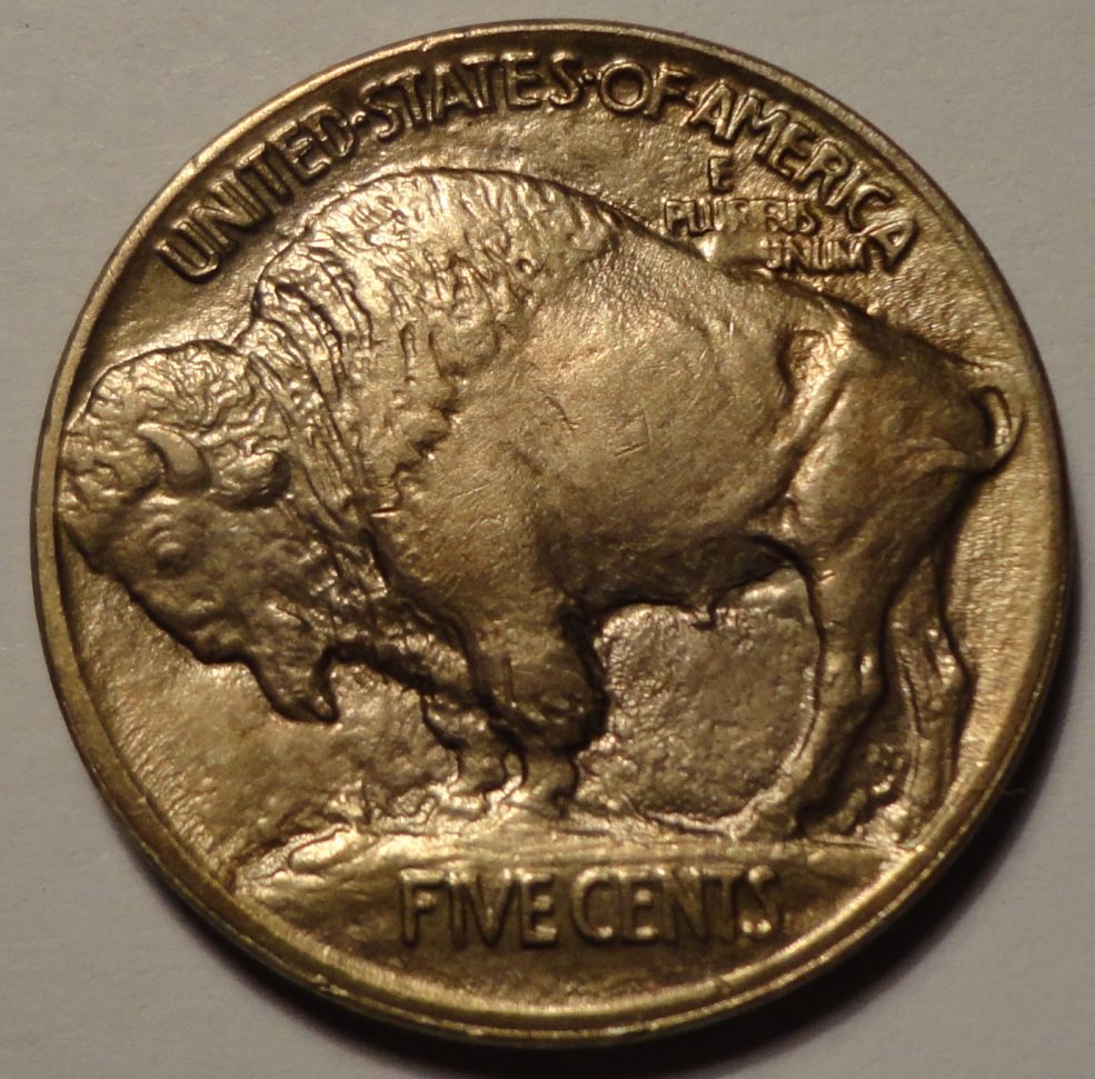 1913-Type-1-Buffalo-Nickel