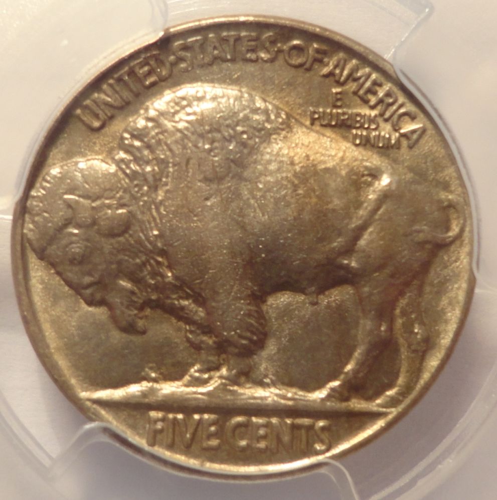 Vs.-PCGS:-1923-Buffalo-Nickel