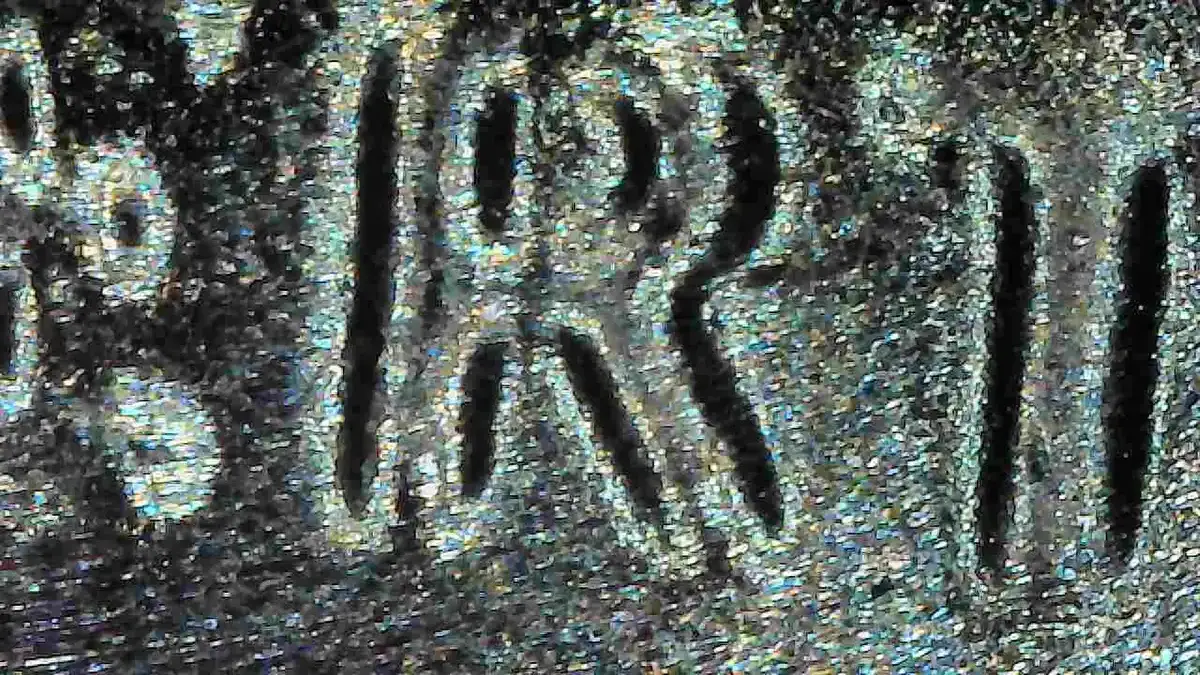 2023-Lincoln-Shield-Cent-Double-Ear-And-More?