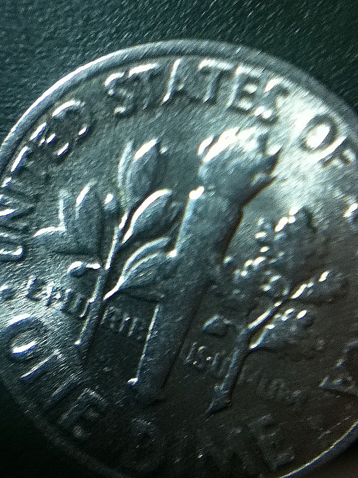 1970-D-Roosevelt-Dime-Reverse
