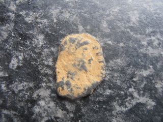 Unknown-Roman-Coin?