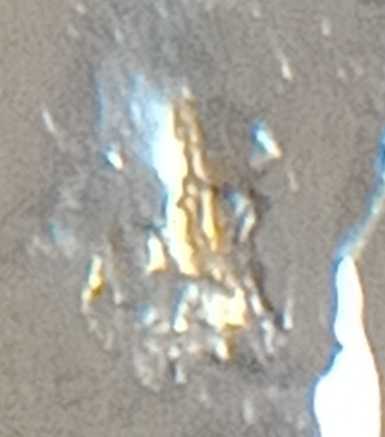 1979-Quarter.-Golden-Eye.-Anyone-Help?