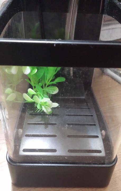 How-Much-Is-In-My-Fish-Tank?