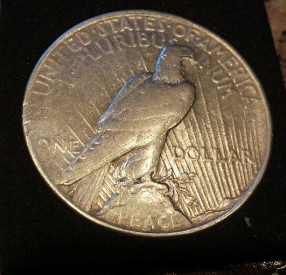1928-P-Peace-Dollar-What-Is-The-Grade?